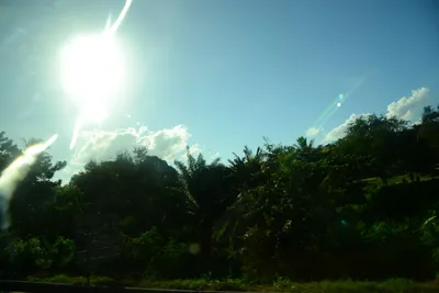 DSC_7707 (Large).JPG